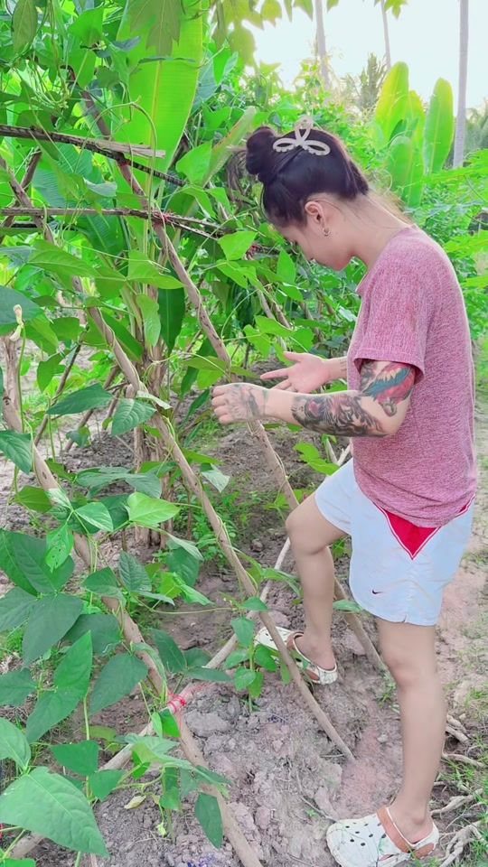 TikTok video thumbnail by goway_avajee