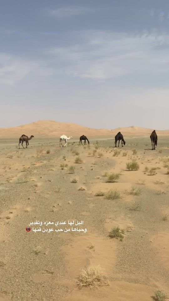 TikTok video thumbnail by abd_5o3