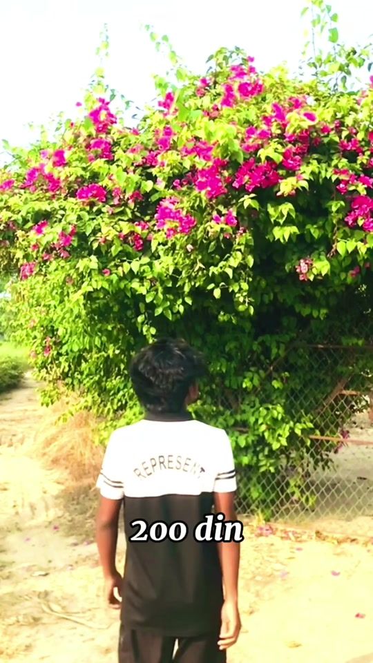 TikTok video thumbnail by crystal.cove0