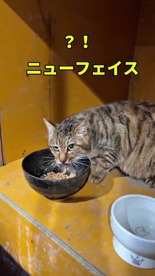 TikTok video thumbnail by tmk_kensetsu