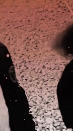 TikTok video thumbnail by .12364643