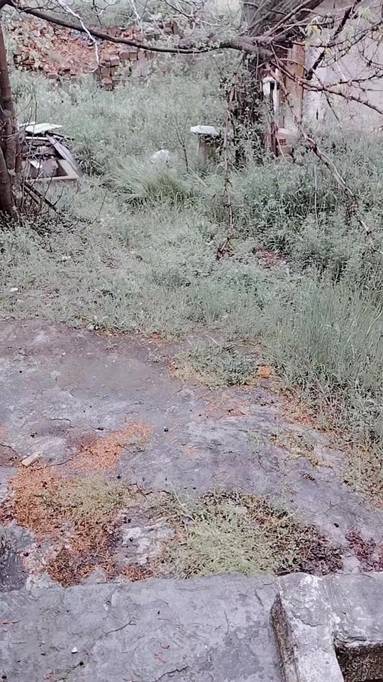 TikTok video thumbnail by omer71712