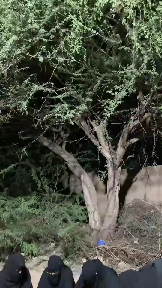 TikTok video thumbnail by girll9818