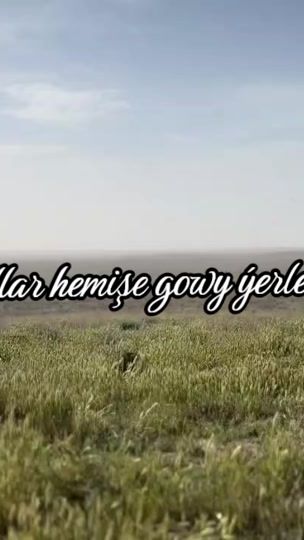 TikTok video thumbnail by y_va.7