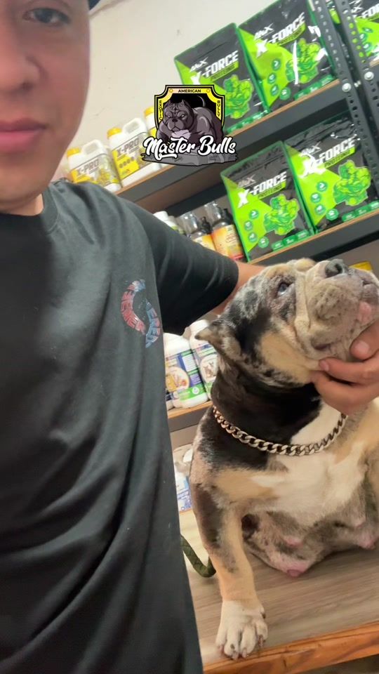 TikTok video thumbnail by master.bulls