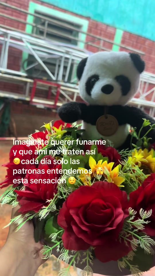 TikTok video thumbnail by vera.11cin