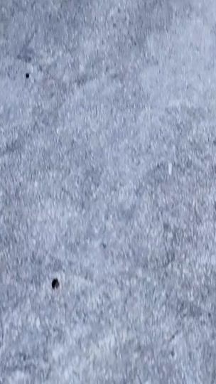 TikTok video thumbnail by alpha_alpha009