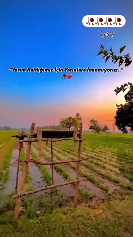 TikTok video thumbnail by umut01020
