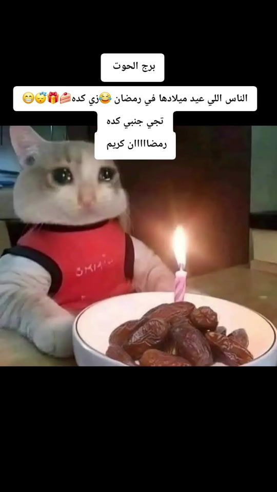 TikTok video thumbnail by aljuidiaat