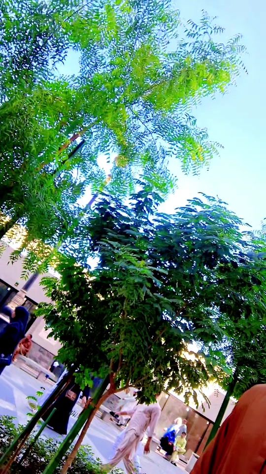 TikTok video thumbnail by faddi_07