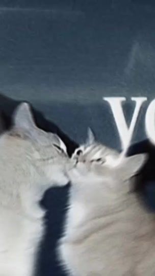 TikTok video thumbnail by rivavavavava
