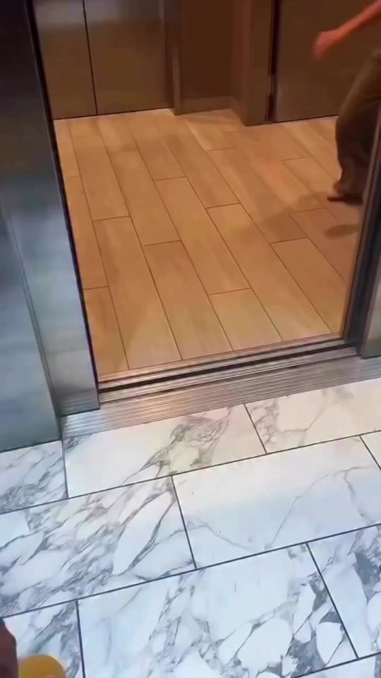 TikTok video thumbnail by noamneger