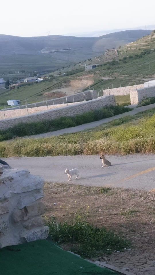 TikTok video thumbnail by slamgatl5