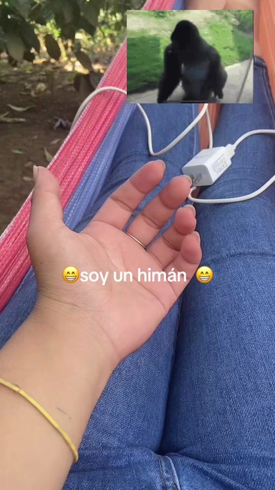 TikTok video thumbnail by silvanarosales03