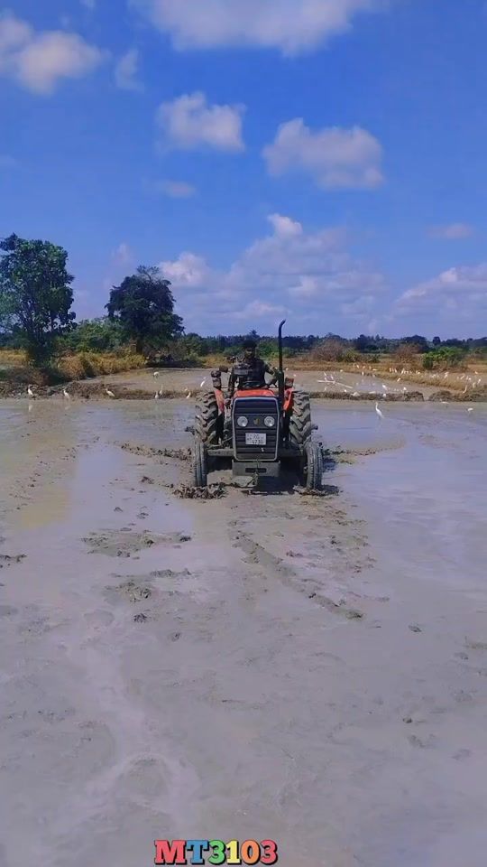 TikTok video thumbnail by thiviyan.23