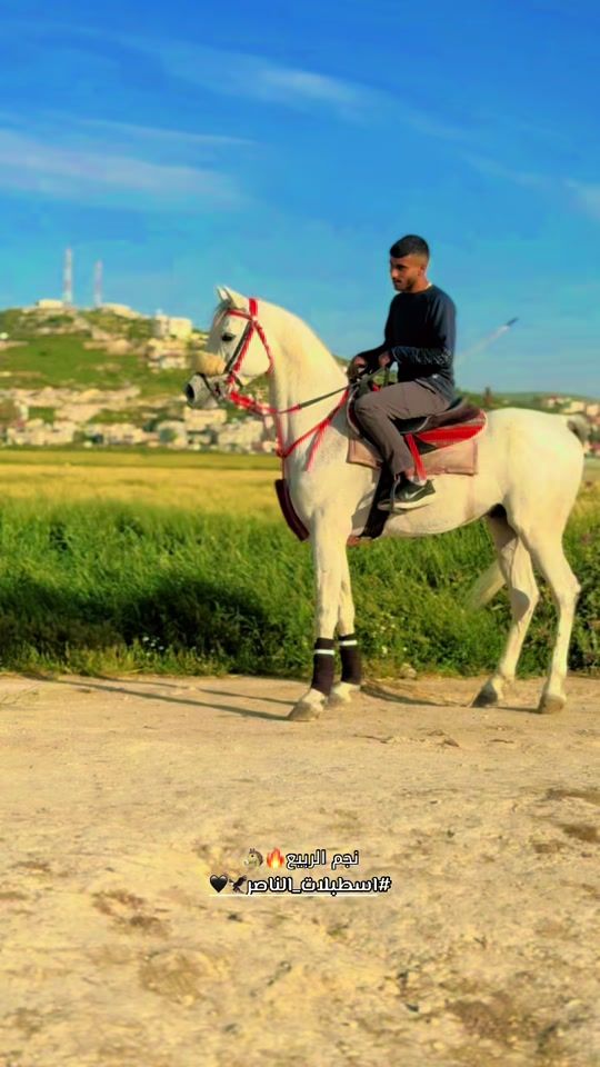 TikTok video thumbnail by .al.nasser.stables_