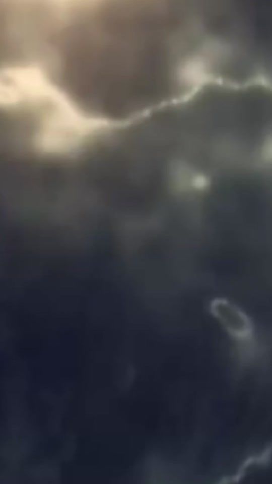 TikTok video thumbnail by lkhalslayman