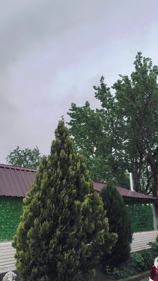 TikTok video thumbnail by kobs633