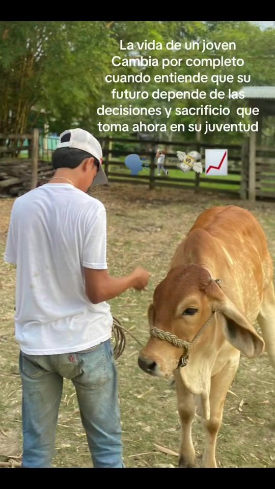 TikTok video thumbnail by guerra_1230