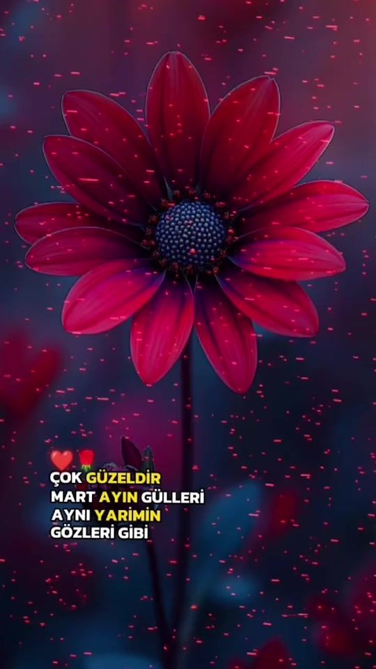 TikTok video thumbnail by recep.aydar.12