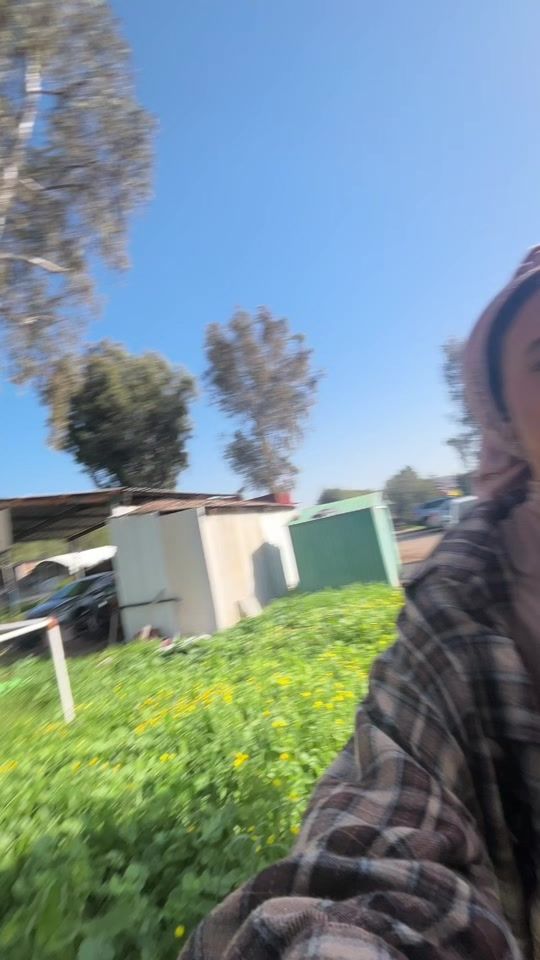 TikTok video thumbnail by yitav_levin
