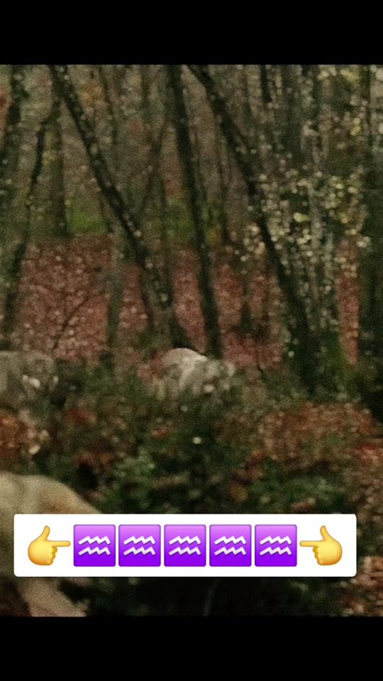 TikTok video thumbnail by __sessiz__00