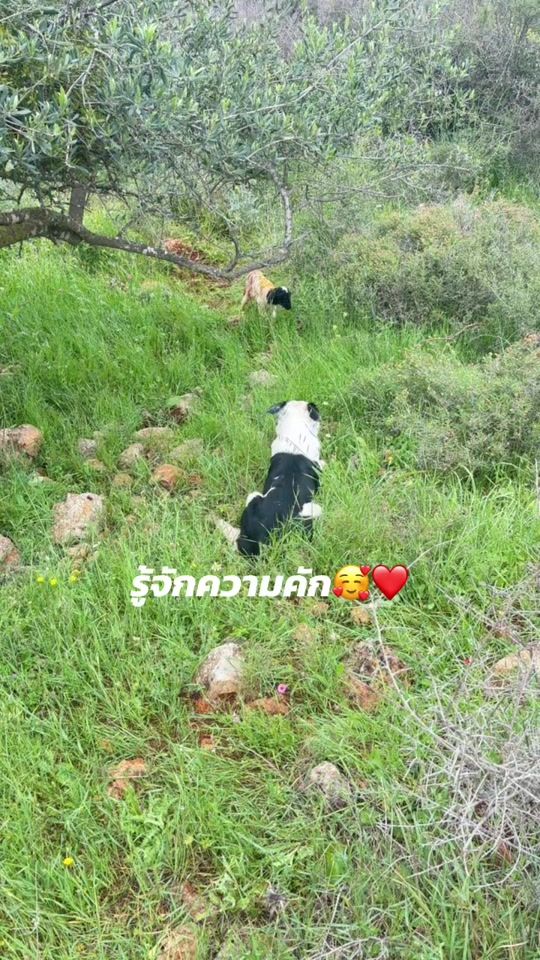 TikTok video thumbnail by stories5604