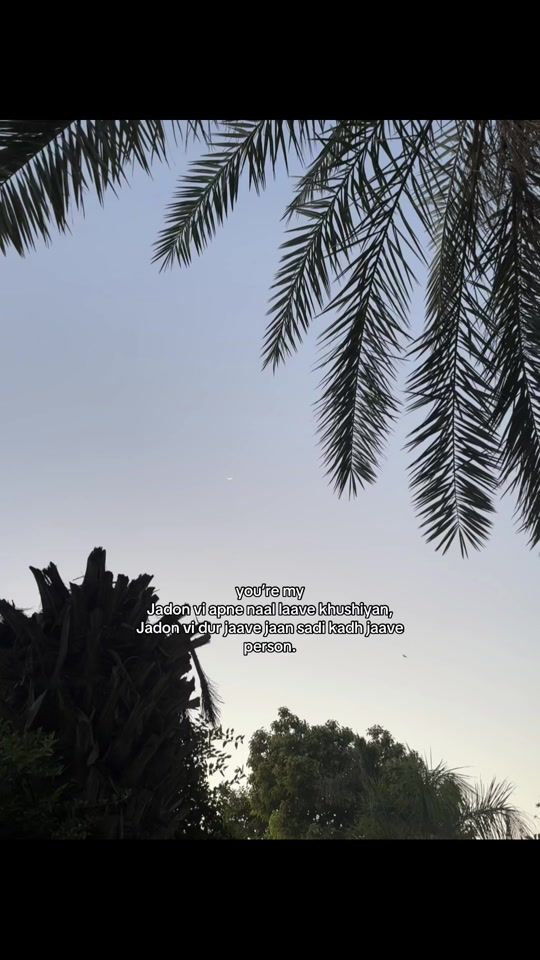 TikTok video thumbnail by stvrrlighttx_