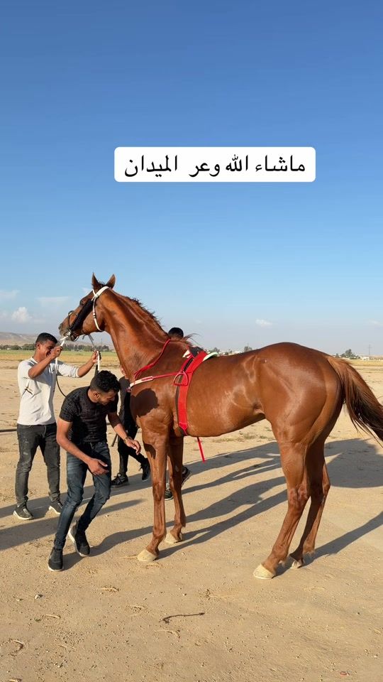 TikTok video thumbnail by m7md_abo_00