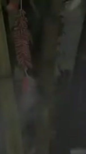 TikTok video thumbnail by baoaixi
