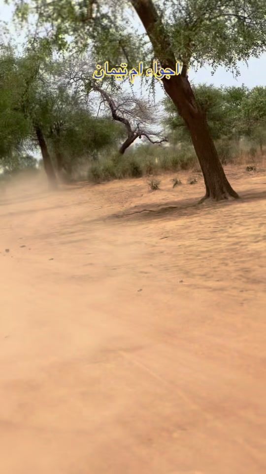 TikTok video thumbnail by oumarperci
