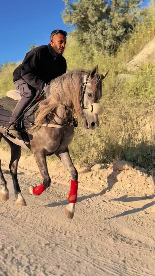 TikTok video thumbnail by alabedstables
