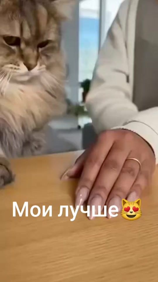 TikTok video thumbnail by alesya.rus09
