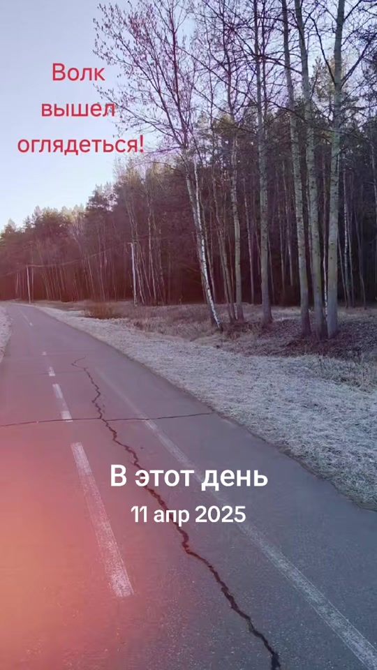 TikTok video thumbnail by dima9719