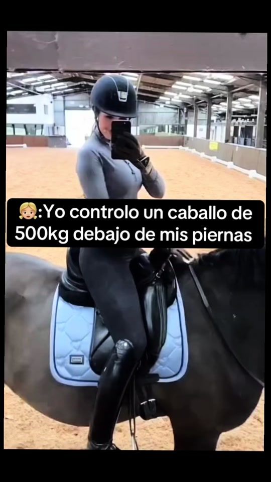 TikTok video thumbnail by shil_alfrd15
