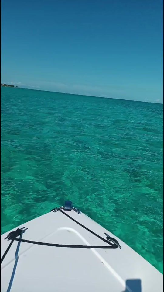 TikTok video thumbnail by knowles.marine