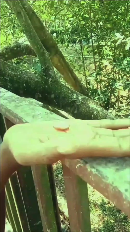 TikTok video thumbnail by dush_quotes