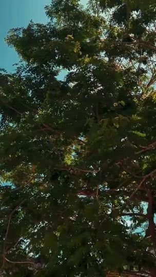 TikTok video thumbnail by nnn71_1