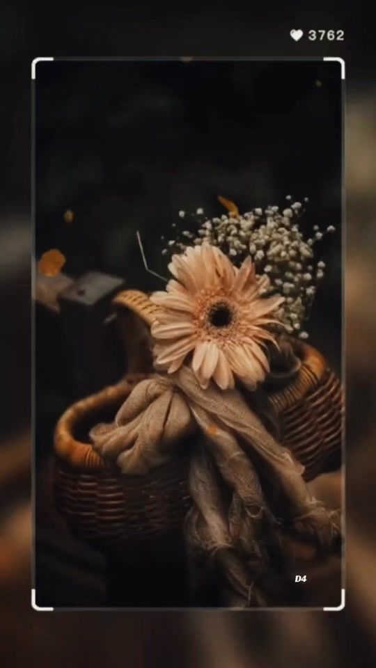 TikTok video thumbnail by dewieq4