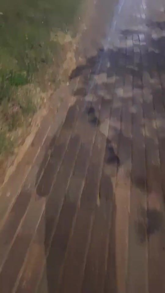 TikTok video thumbnail by queen.5581