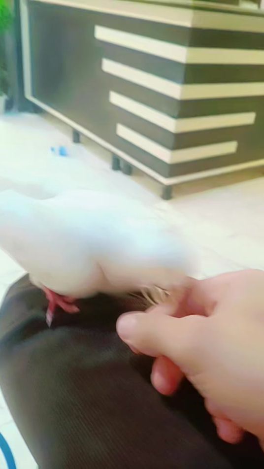 TikTok video thumbnail by __a__31306