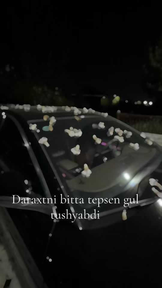 TikTok video thumbnail by timur_.aliev._