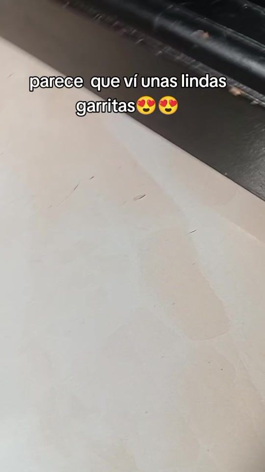 TikTok video thumbnail by alexandra.f.r