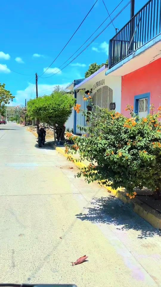 TikTok video thumbnail by pinter_bishop