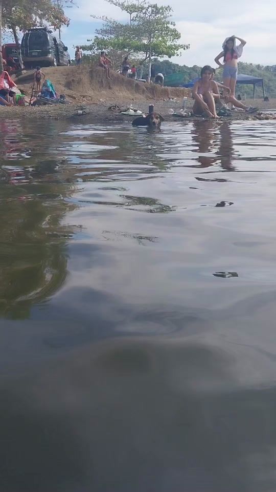 TikTok video thumbnail by aniveth13