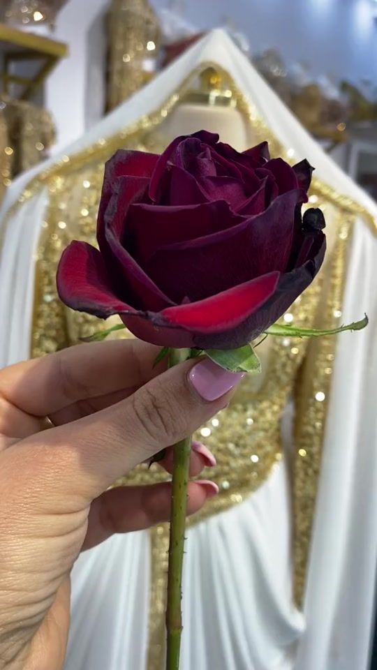 TikTok video thumbnail by womens_secrets1