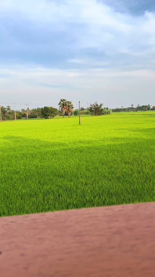 TikTok video thumbnail by 7anothai.official