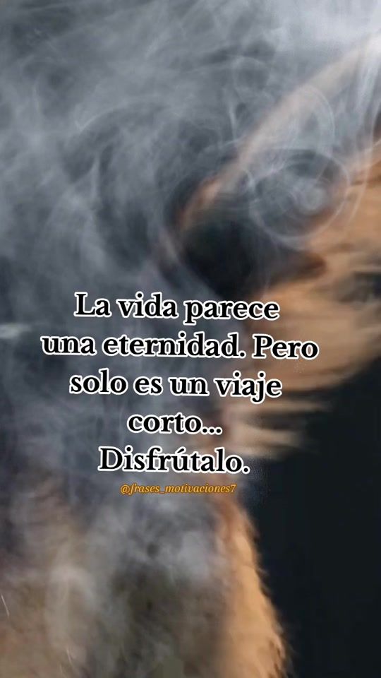 TikTok video thumbnail by frases_motivaciones7