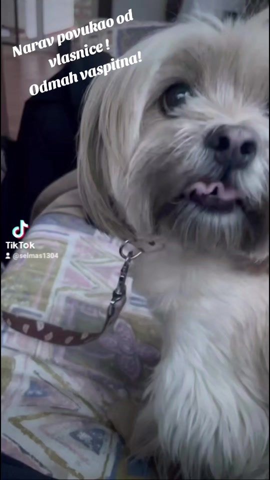 TikTok video thumbnail by selmas1304