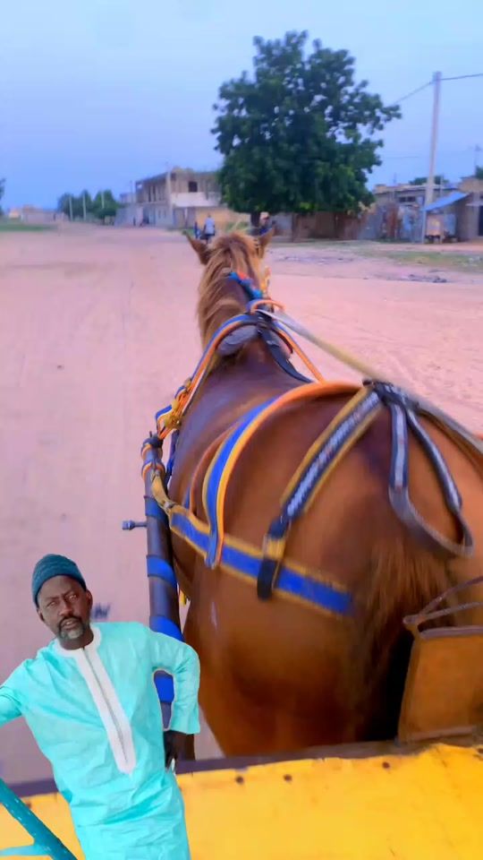 TikTok video thumbnail by boy.bambara2